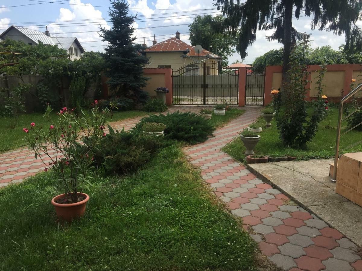 Teachers Darmanesti  Екстериор снимка